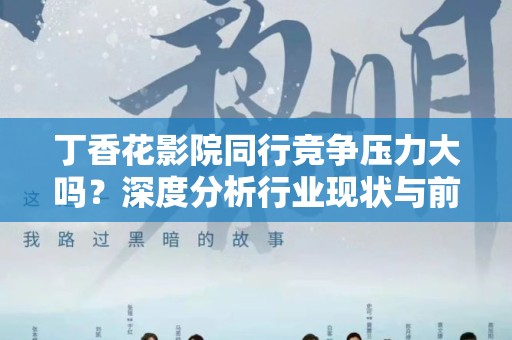丁香花影院同行竞争压力大吗？深度分析行业现状与前景