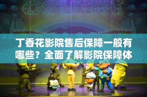 丁香花影院售后保障一般有哪些？全面了解影院保障体系