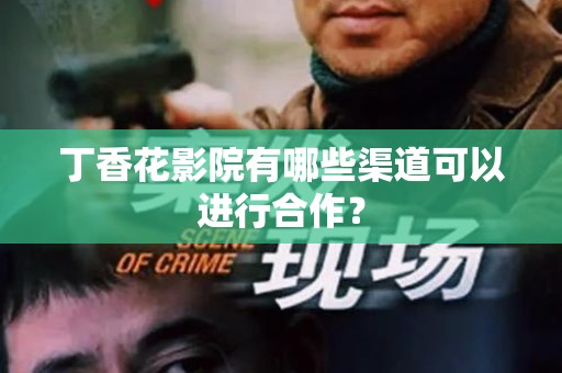 丁香花影院有哪些渠道可以进行合作？