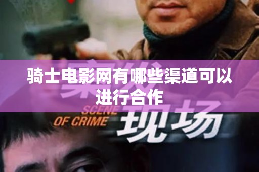 骑士电影网有哪些渠道可以进行合作