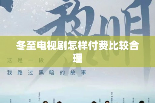 冬至电视剧怎样付费比较合理
