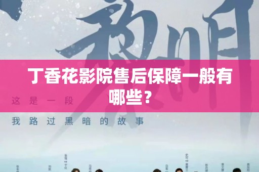 丁香花影院售后保障一般有哪些？