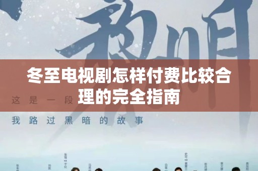 冬至电视剧怎样付费比较合理的完全指南