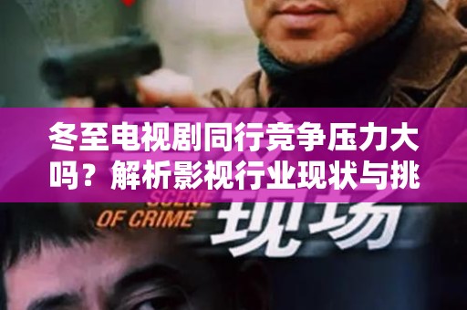 冬至电视剧同行竞争压力大吗？解析影视行业现状与挑战