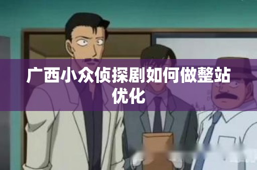 广西小众侦探剧如何做整站优化
