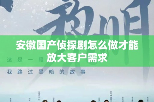 安徽国产侦探剧怎么做才能放大客户需求