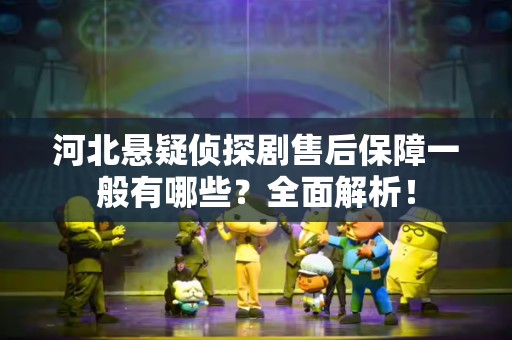 河北悬疑侦探剧售后保障一般有哪些？全面解析！