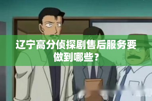 辽宁高分侦探剧售后服务要做到哪些？