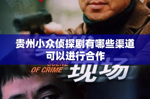 贵州小众侦探剧有哪些渠道可以进行合作