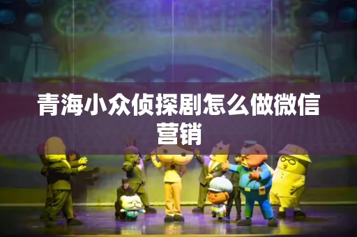 青海小众侦探剧怎么做微信营销