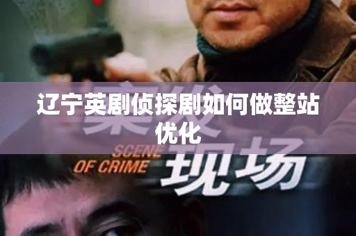 辽宁英剧侦探剧如何做整站优化