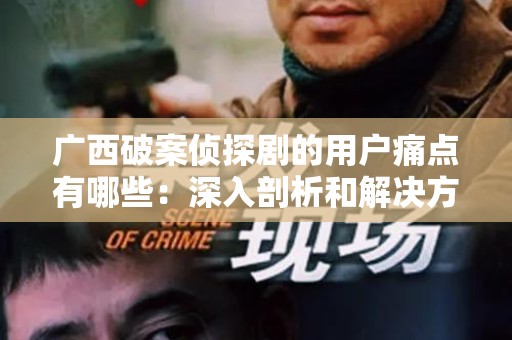 广西破案侦探剧的用户痛点有哪些：深入剖析和解决方案