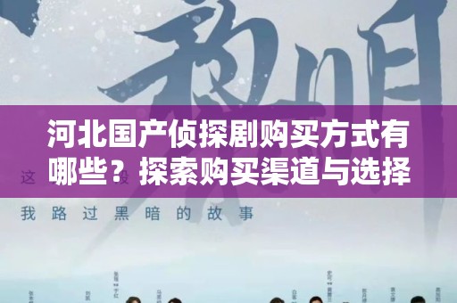 河北国产侦探剧购买方式有哪些？探索购买渠道与选择
