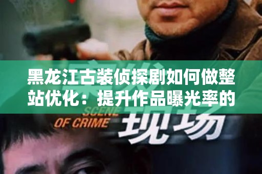 黑龙江古装侦探剧如何做整站优化：提升作品曝光率的有效策略