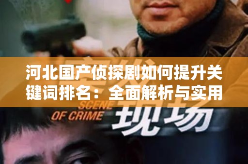 河北国产侦探剧如何提升关键词排名：全面解析与实用策略
