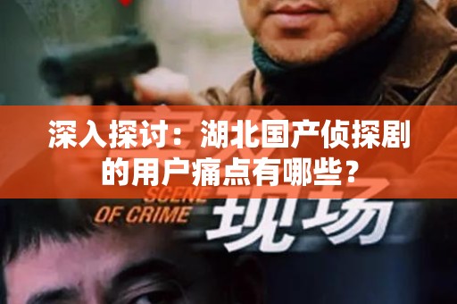 深入探讨：湖北国产侦探剧的用户痛点有哪些？