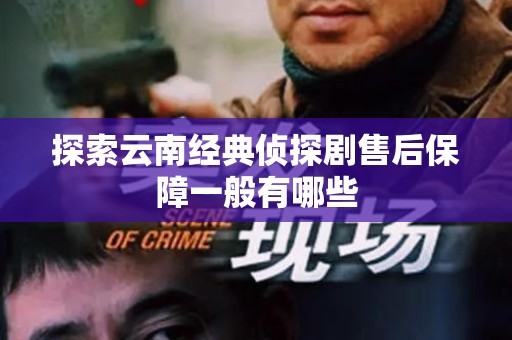 探索云南经典侦探剧售后保障一般有哪些