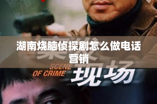 湖南烧脑侦探剧怎么做电话营销