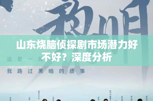 山东烧脑侦探剧市场潜力好不好？深度分析