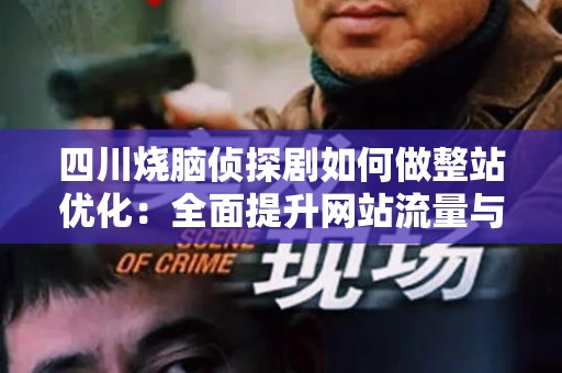 四川烧脑侦探剧如何做整站优化：全面提升网站流量与用户体验
