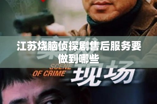 江苏烧脑侦探剧售后服务要做到哪些