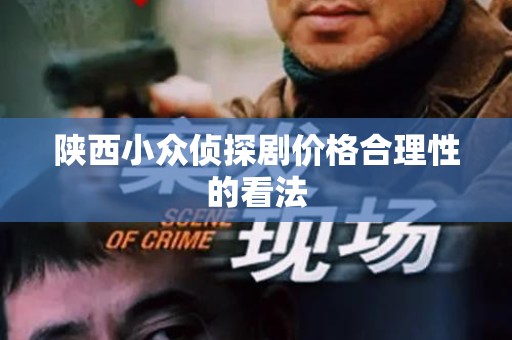 陕西小众侦探剧价格合理性的看法