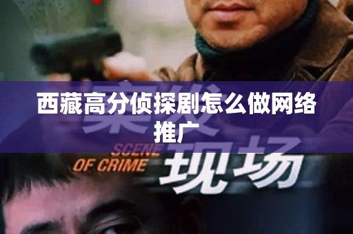 西藏高分侦探剧怎么做网络推广
