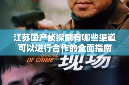 江苏国产侦探剧有哪些渠道可以进行合作的全面指南