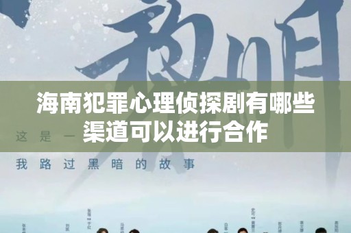 海南犯罪心理侦探剧有哪些渠道可以进行合作