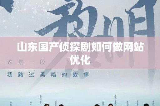 山东国产侦探剧如何做网站优化